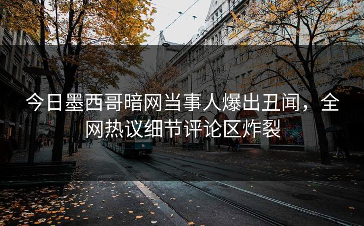 今日墨西哥暗网当事人爆出丑闻，全网热议细节评论区炸裂