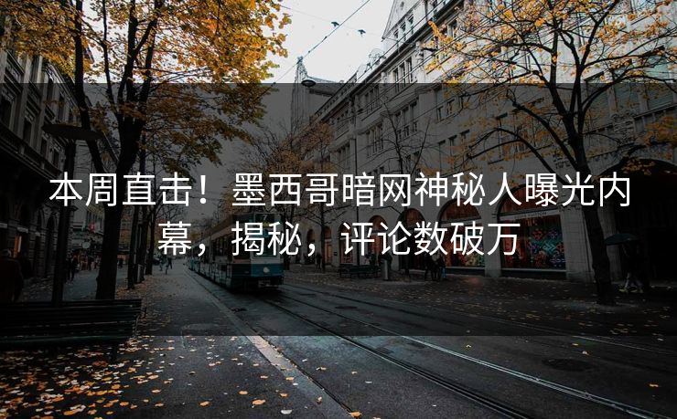 本周直击！墨西哥暗网神秘人曝光内幕，揭秘，评论数破万