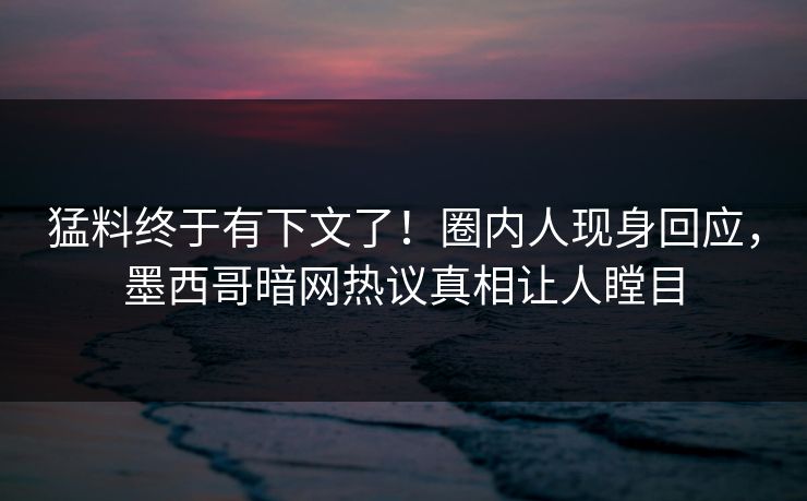 猛料终于有下文了！圈内人现身回应，墨西哥暗网热议真相让人瞠目