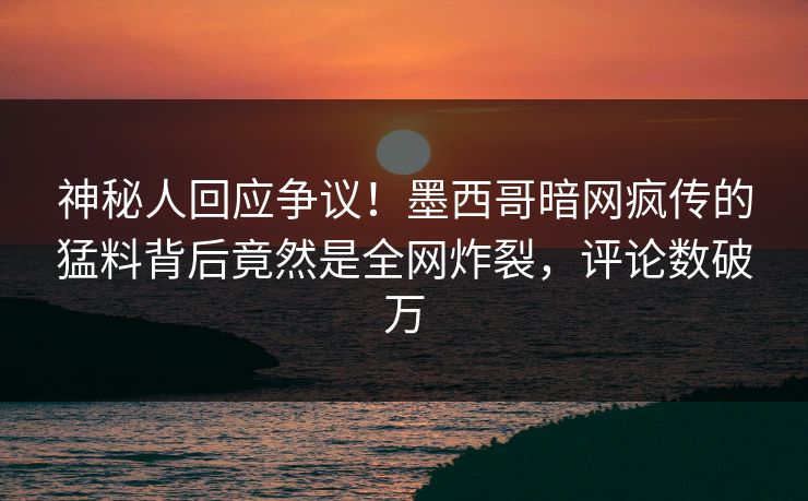 神秘人回应争议！墨西哥暗网疯传的猛料背后竟然是全网炸裂，评论数破万