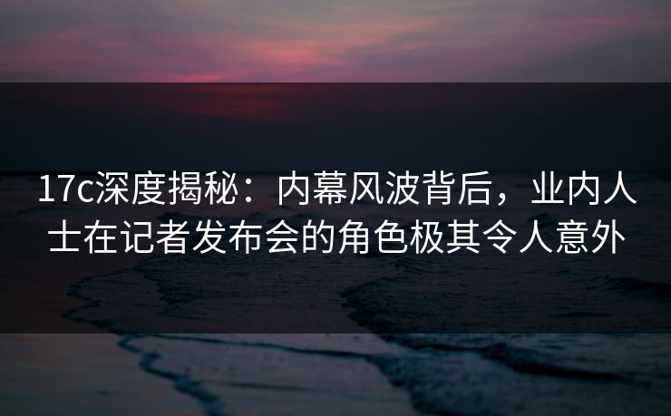 17c深度揭秘：内幕风波背后，业内人士在记者发布会的角色极其令人意外